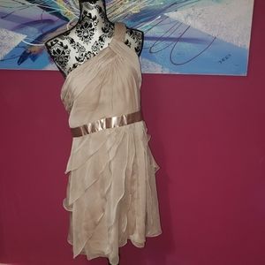 Adrianna Papell dress